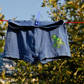 P.S:O:A Galerie 2015 Shetland Impressionen