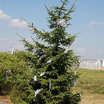 P.S:O:A Galerie 2013 Shetland Impressionen