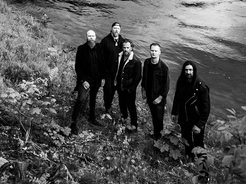 IN THE WOODS... Photo