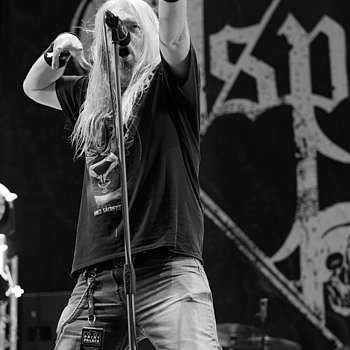 P.S:O:A Gallerie 2022 Bands Mario Gallasch