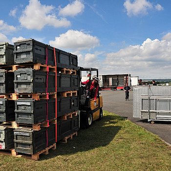 P.S:O:A Galerie 2011 Impressionen Shetland