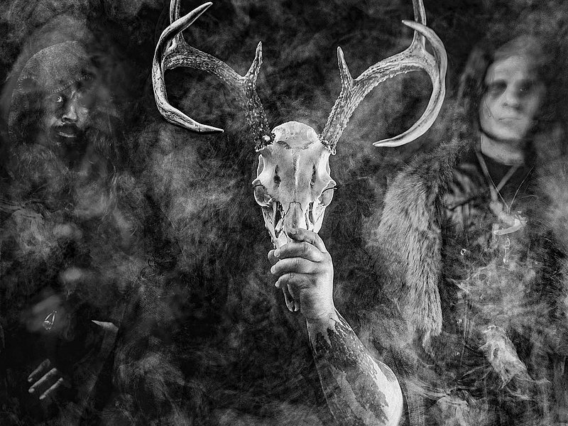 WOLVES IN THE THRONE ROOM Photo